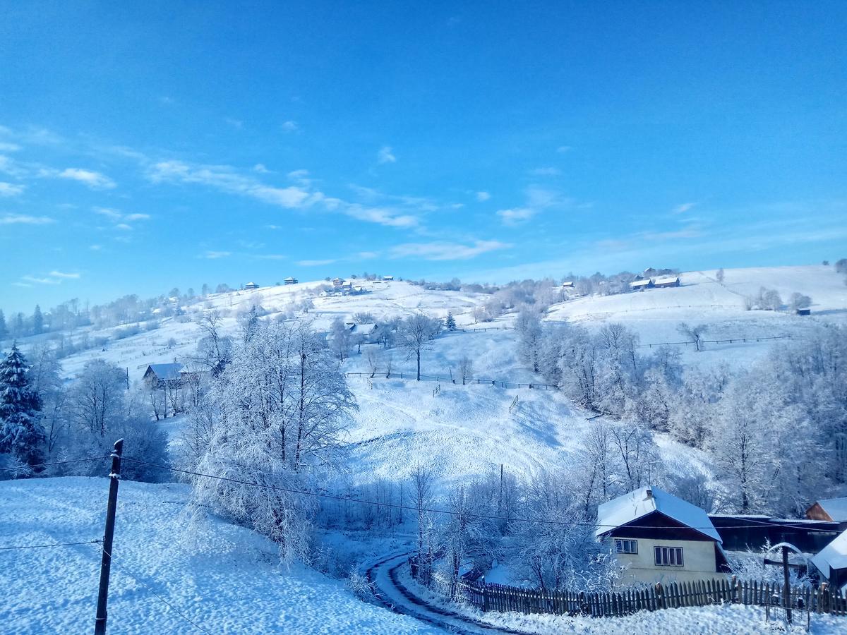Дзвін Карпат Vila Lazeshchyna Exterior foto
